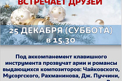 Новогодний вечер в библиотеке № 56 